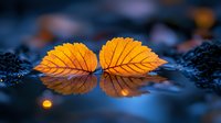 Vibrant orange autumn leaves floating on dark blue water surface with perfect reflection, creating symmetrical nature composition in moody fall atmosphere.