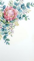 Pink protea flower with eucalyptus leaves and botanical foliage on white background, isolated design element for invitations, greeting cards, and wedding stationery projects.