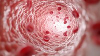 Red blood cells flowing through arteries and veins in human circulatory system, medical science visualization with selective focus and depth effect.