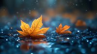 Golden autumn maple leaves floating on water surface with bokeh light effect and raindrops creating serene seasonal atmosphere.