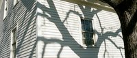 Tree branch shadows cast dramatically across white clapboard siding of a classic wooden house corner with small window in sunlight.