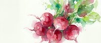 Watercolor illustration of fresh red beets with green leafy tops and splashing paint effects on white background for culinary and organic food design projects.