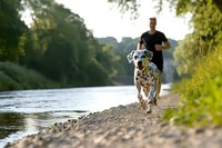 Dalmatian dog running along riverbank with male jogger exercising outdoors in natural park setting during golden hour for active lifestyle and fitness.