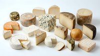 Assorted artisanal cheese varieties including aged cheddar, blue cheese, brie, and gouda arranged on white background for culinary and food styling projects.