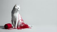 White cat sitting next to tangled red yarn ball and string on neutral background, isolated for design use.