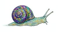Colorful snail with vibrant spiral shell in purple, blue, and green tones, isolated on white background, suitable for clipart and design projects.