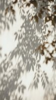 Delicate foliage shadows cast on neutral wall surface, creating natural light patterns for backgrounds, overlays, and design projects.