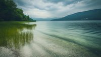 Tranquil mountain lake with emerald water and shoreline reeds under dramatic cloudy sky, reflecting moody atmosphere. Peaceful wilderness landscape for nature themes.
