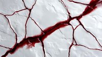 Abstract red blood vessels branching network on white background. Medical anatomy illustration for healthcare education and scientific research materials.