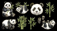Cute panda bear clipart set with bamboo, paw prints, and cub, isolated on transparent background. Great for stickers, t-shirt design, and print on demand.