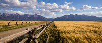 Rural wooden fence stretching across golden grassland with dramatic mountain range and cloudy blue sky in background for outdoor adventure concepts.
