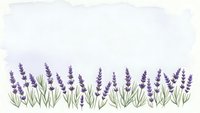 Purple lavender flowers with green stems and leaves arranged in decorative border pattern on transparent background for design projects.