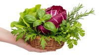Fresh herbs and vegetables in wicker basket held by hand including basil, parsley, rosemary and red cabbage for healthy cooking and culinary use.