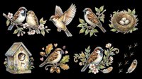 Watercolor birds and nests collection isolated on transparent background. Includes sparrows, finches, birdhouse, and nest designs. Ready for t-shirt designs, clipart, stickers, sublimation, and print-on-demand projects.