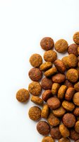 Dry pet food kibble pile scattered on white background, isolated brown and golden round pieces for dog or cat nutrition and care.