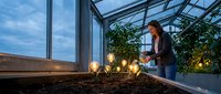 Young woman tending to plants in modern greenhouse with warm lighting during evening hours. Indoor gardening and sustainable agriculture concept.