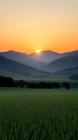 Dramatic sunrise over mountain range with sunburst, silhouetted peaks and green agricultural field in foreground creating layered landscape composition.
