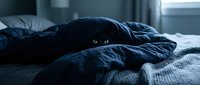 Black cat with bright yellow eyes hiding under dark blue bedding in moody bedroom lighting for pet care and cozy home concepts.