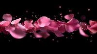 Pink rose petals floating in dark space with sparkles and light particles creating romantic atmospheric composition against black background.