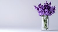 Fresh purple lavender flowers in clear glass vase against light gray background with copy space, minimalist floral arrangement for home decor and aromatherapy.