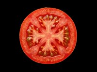 Tomato slice cross-section isolated on transparent background, ready for culinary design, food packaging, recipe graphics, print-on-demand products, and digital food illustrations.