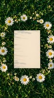 Blank wooden card surrounded by white daisies on green grass meadow for natural greeting cards, invitations, and spring marketing materials.