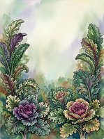 Watercolor illustration of ornamental cabbage plants with ruffled purple and pink blooms, green foliage, and soft pastel background. Botanical artwork suitable for garden design, nature publications, and decorative prints.