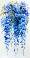Cascading blue wisteria flowers with delicate petals and green foliage create an elegant watercolor composition on white background, suitable for botanical art.