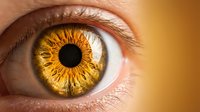 Close-up macro shot of human eye with vibrant golden amber iris showing intricate patterns and textures against warm background for medical vision concepts.