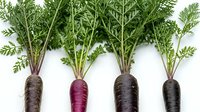 Fresh organic heirloom carrots with green tops in purple, black and traditional colors arranged on white background for healthy cooking and farm-to-table cuisine.
