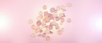 Scattered pink and peach rose petals on a soft pastel pink background, flat lay composition for romantic, wedding, or beauty themes.