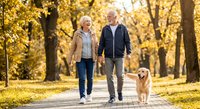 Happy senior Caucasian couple walking golden retriever dog in autumn park with golden foliage for active lifestyle and retirement wellness concepts.