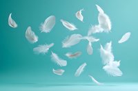White feathers floating gracefully through turquoise air creating dreamy weightless composition for wellness and freedom concepts.
