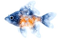 Watercolor fish with cosmic galaxy pattern in blue and orange tones, swimming against white background. Artistic marine life illustration for wall art and design projects.