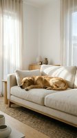 Golden retriever sleeping peacefully on a beige linen sofa in a bright, minimalist Scandinavian living room with natural light.