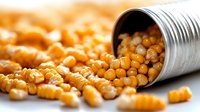 Crispy corn snacks spilling from metallic container on white surface, selective focus on golden puffed corn pieces with blurred background.