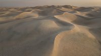 Endless golden sand dunes stretch across desert landscape with rippled textures and warm sunlight creating dramatic shadows and highlights in arid wilderness.