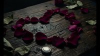 Red rose petals arranged in heart shape on rustic wooden surface with dried leaves and vintage elements for romantic decoration and love concepts.