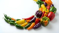 Assorted fresh bell peppers and chili peppers arranged in a curved line on white background, showcasing vibrant red, yellow, orange, green and purple produce for culinary and food styling projects.