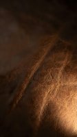 Rich brown leather surface with natural grain texture and warm lighting creating depth and luxury appeal for premium product backgrounds.