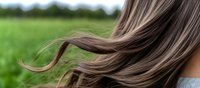Long brown hair blowing in wind against green meadow background, showing natural hair movement and healthy shine. Close-up panoramic view captures flowing strands.