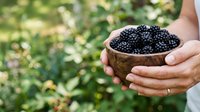 Farmer holding wooden bowl filled with fresh ripe blackberries in garden setting, harvesting organic berries for food production and agriculture.
