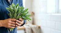 Young adult male with medium skin tone holding fresh green leafy vegetables indoors, wearing casual blue shirt, promoting healthy eating and organic produce for lifestyle and wellness content.