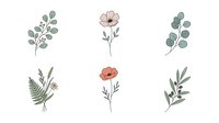 Isolated botanical line art illustrations featuring delicate flowers, eucalyptus leaves, ferns and greenery stems in muted tones, ready for design projects.