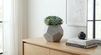 Modern minimalist interior with succulent plant in geometric concrete planter on wooden sideboard, contemporary home decor styling for living spaces.