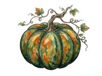 Striped winter squash with curling vine tendrils and leaves isolated on white background, suitable for autumn harvest designs, cooking websites, and seasonal marketing materials.