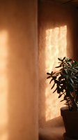 Sunlight streams through window onto textured terracotta wall with potted succulent plant casting dramatic shadow, creating warm golden light and minimalist interior ambiance for design projects.