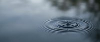 Water drop creating concentric ripples on calm surface with blurred natural background. Serene moment capturing liquid motion and tranquil atmosphere.