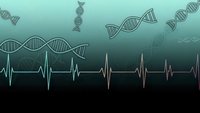 DNA double helix structures floating above heartbeat rhythm line on gradient background for medical research and genetic science concepts.
