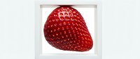 Fresh ripe strawberry isolated on white background, ready for food and beverage design, packaging, and culinary projects.